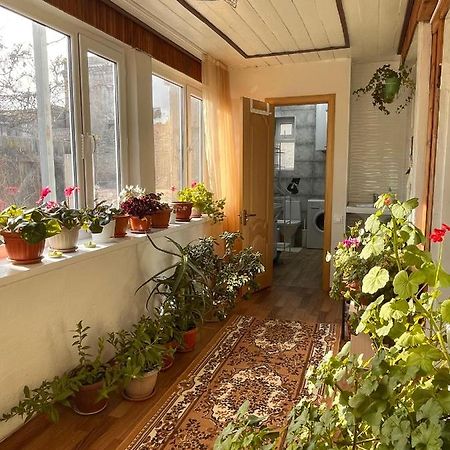 Gulnara Guest House Ysyk-Köl Εξωτερικό φωτογραφία