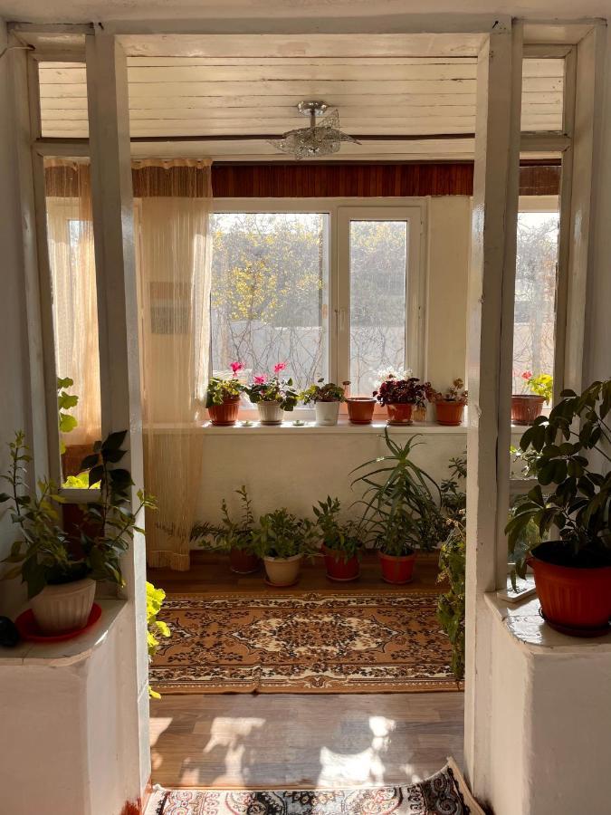 Gulnara Guest House Ysyk-Köl Εξωτερικό φωτογραφία