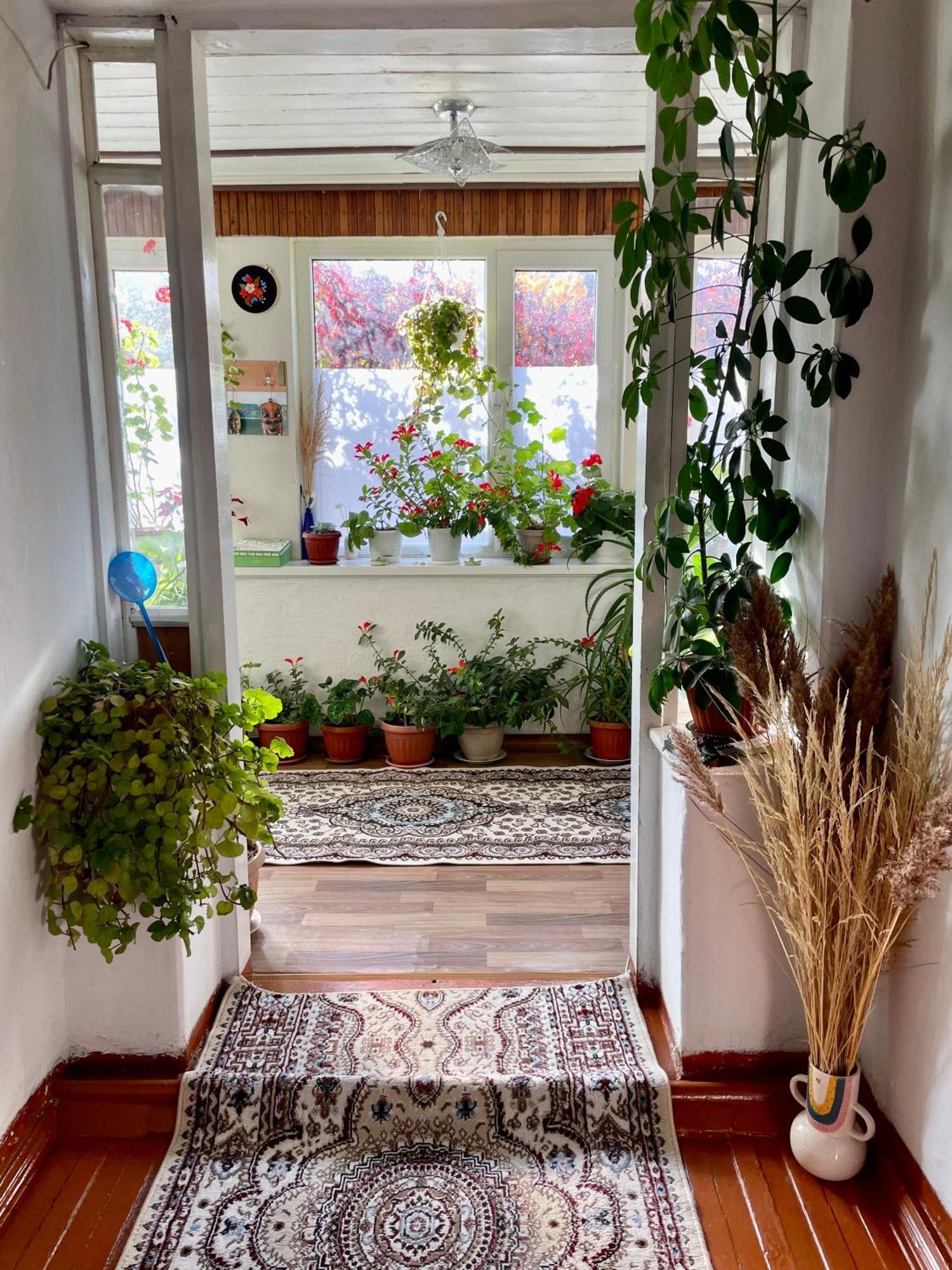 Gulnara Guest House Ysyk-Köl Εξωτερικό φωτογραφία