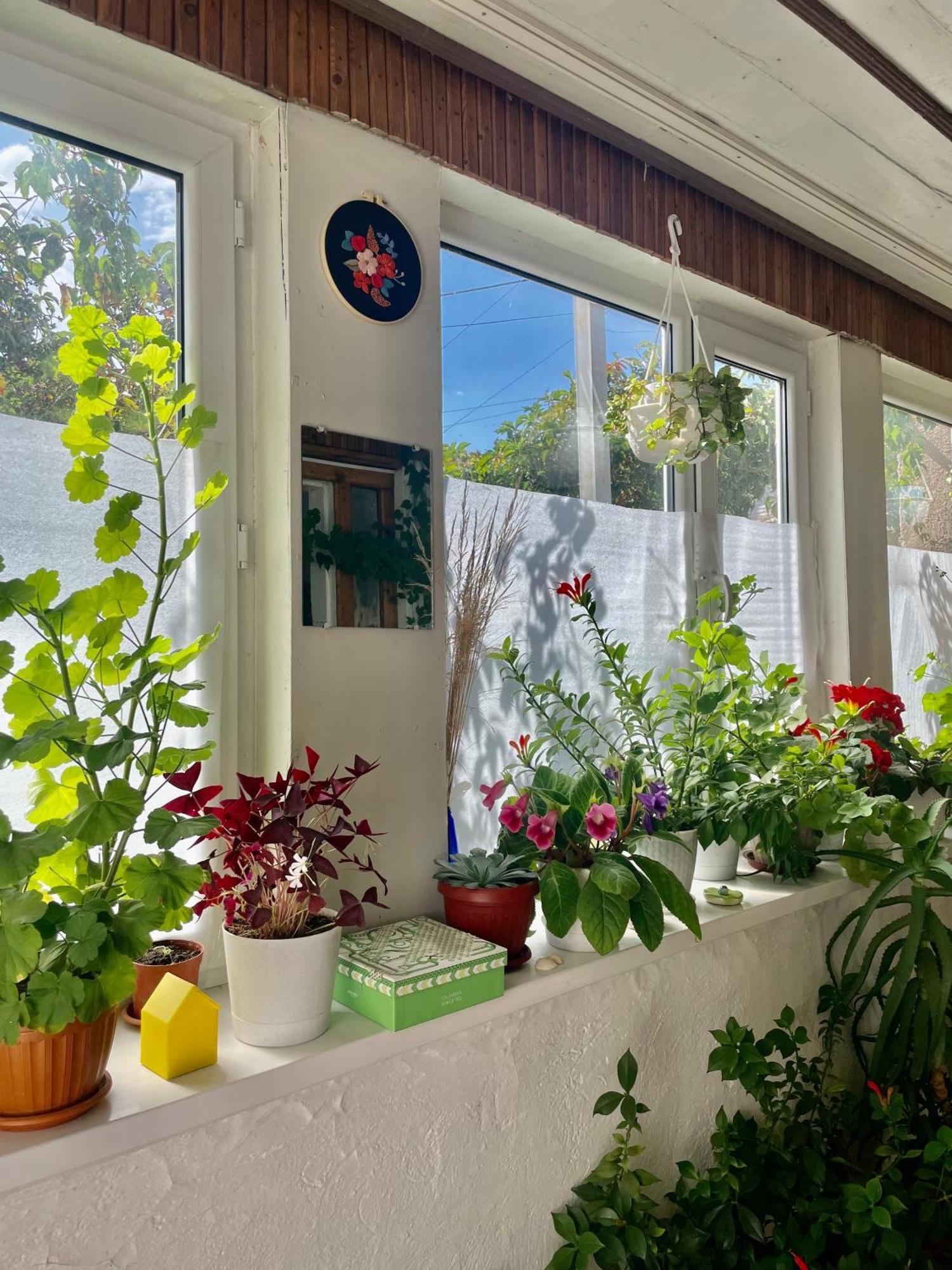 Gulnara Guest House Ysyk-Köl Εξωτερικό φωτογραφία
